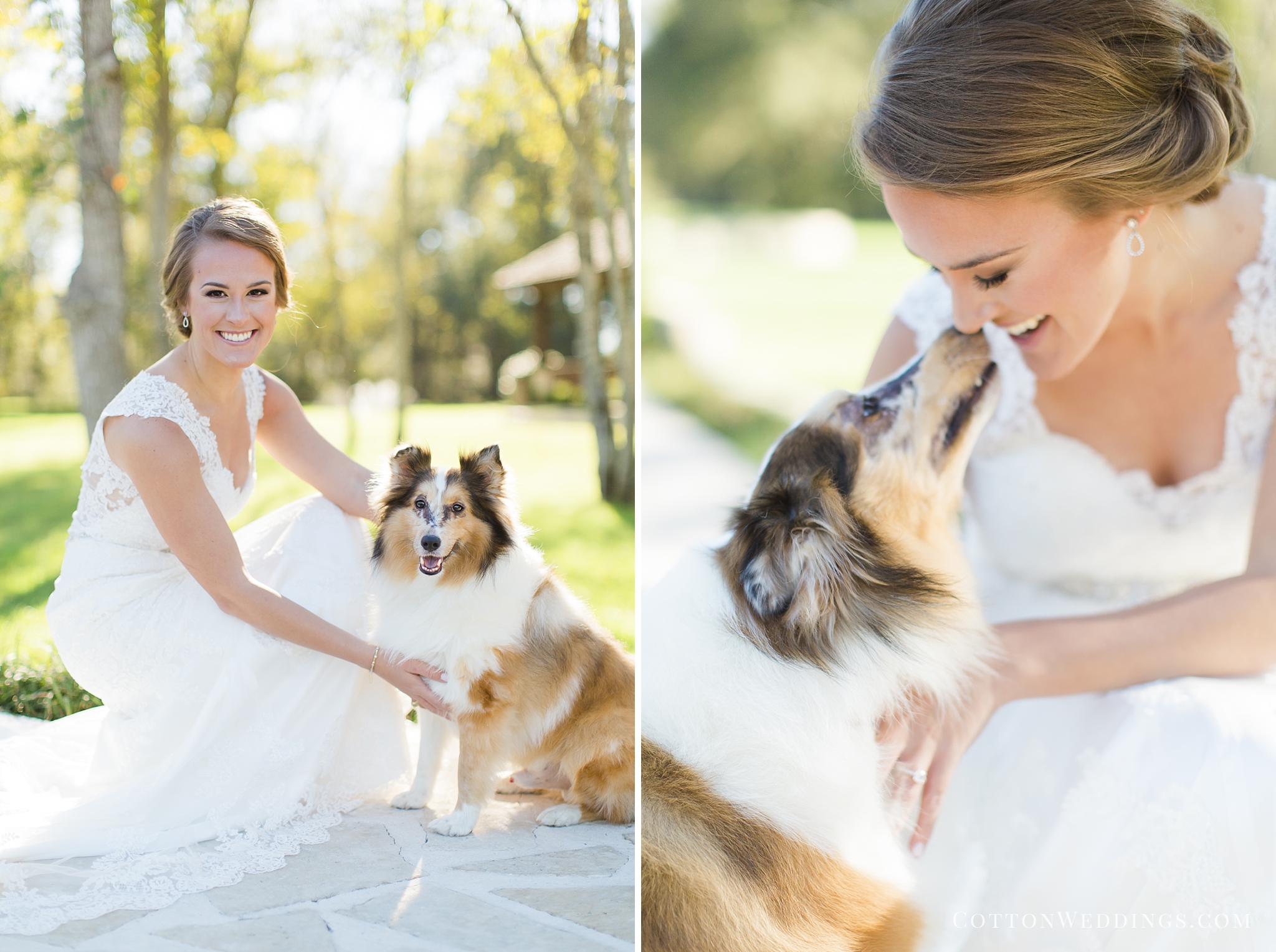 beautiful bride with dog