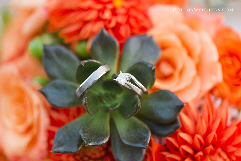 wedding rings on succulent