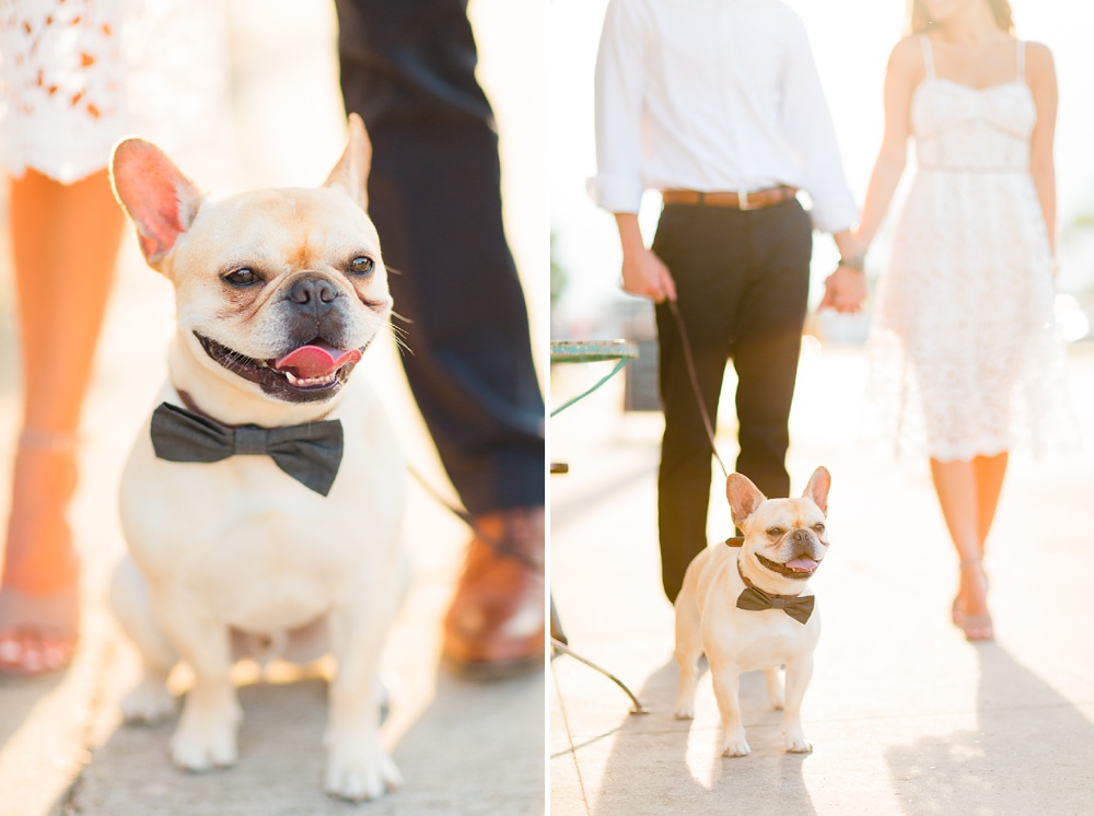 adorable engagement session with dog