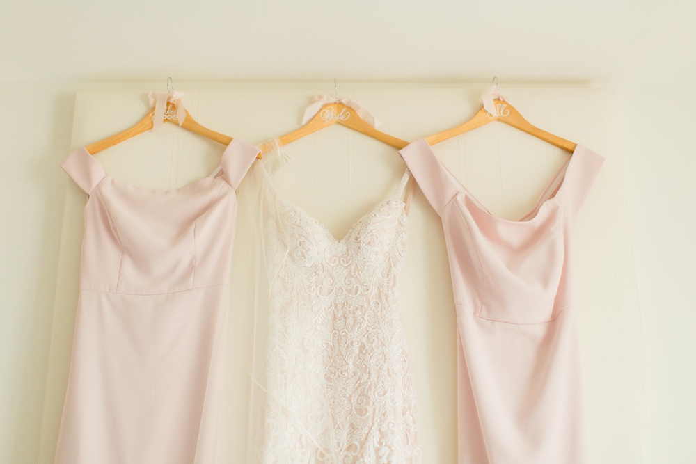 blush wedding dress and bridesmaid dresses