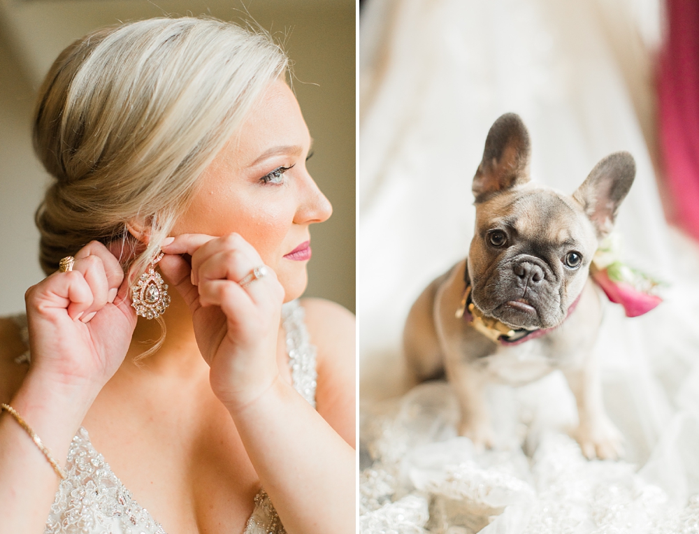 bride and french bull dog