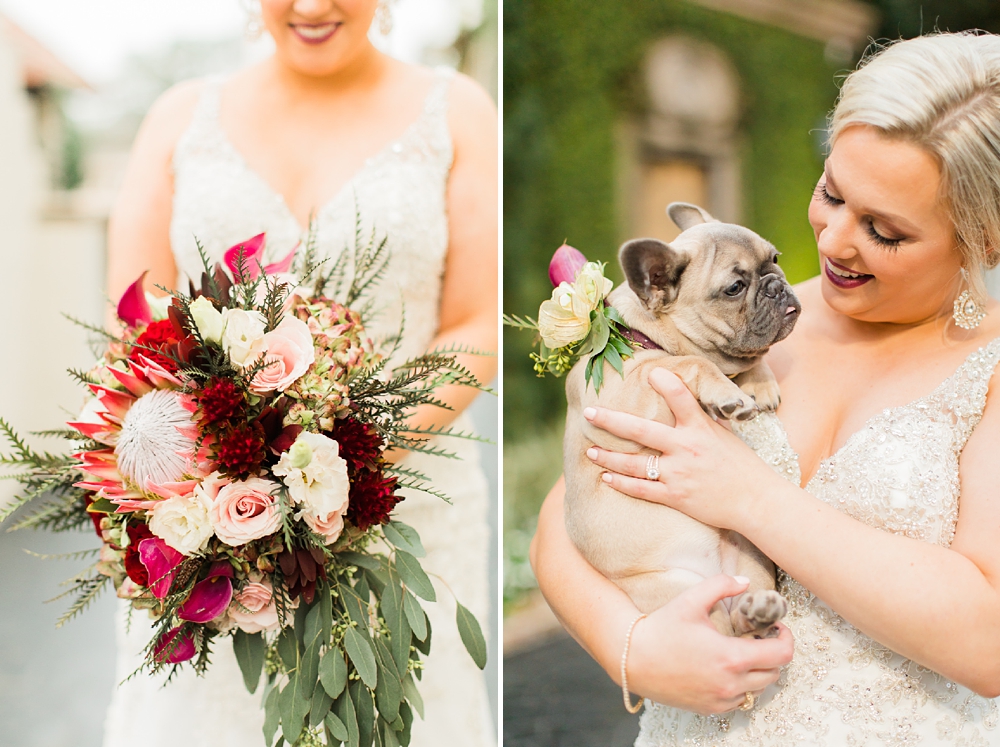french bull dog and bride
