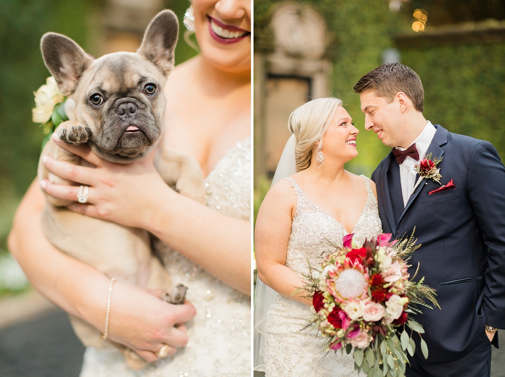 puppy with bride and groom