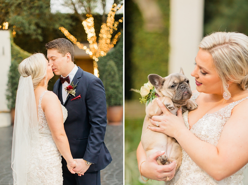 french bull dog and bride