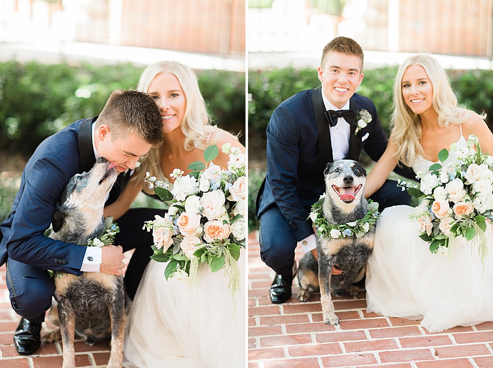 bride and groom wedding puppy