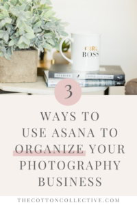 how-to-organize-photography-business-with-asana