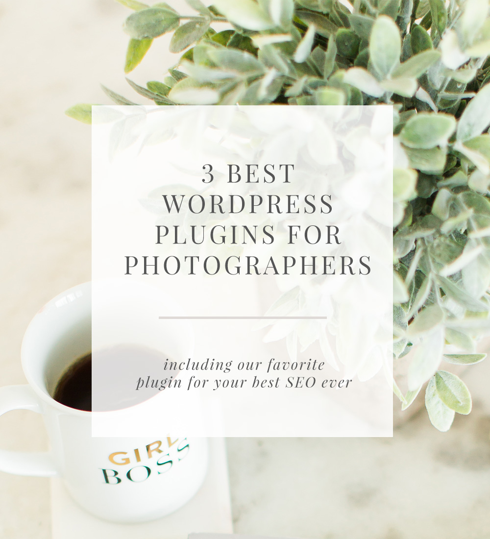 3 best Wordpress plugins for photographers