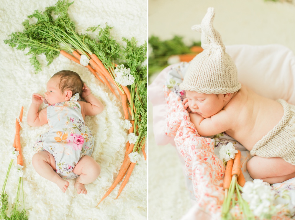 Houston Bunny Themed Newborn Photos with Fresh Carrots