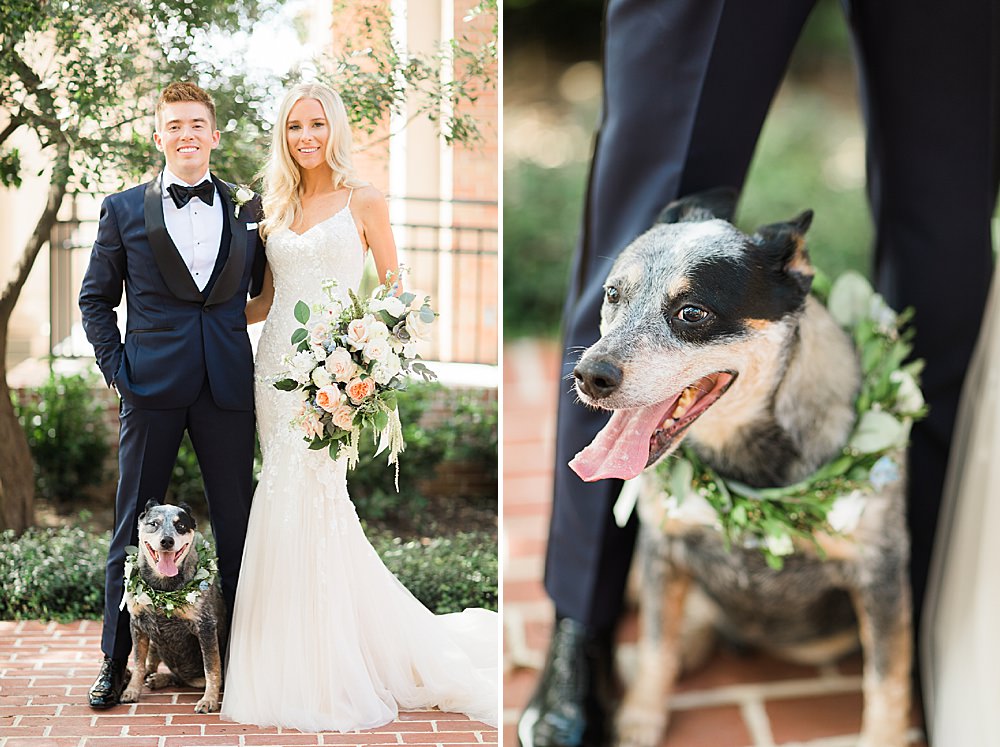 bride and groom wedding dog