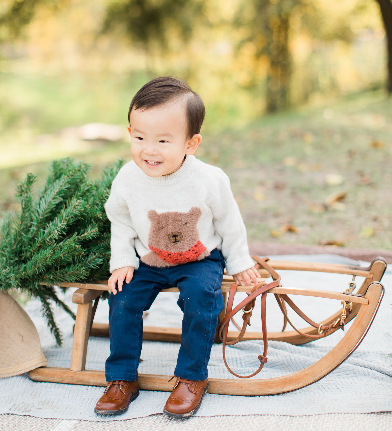 adorable boy sitting on sled with mini christmas tree